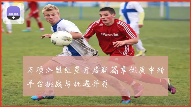 万项加盟红星开启新篇章优质中转平台挑战与机遇并存